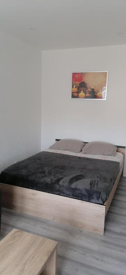 Appartement Avec Balcon Et Parking Prive Roanne Extérieur photo